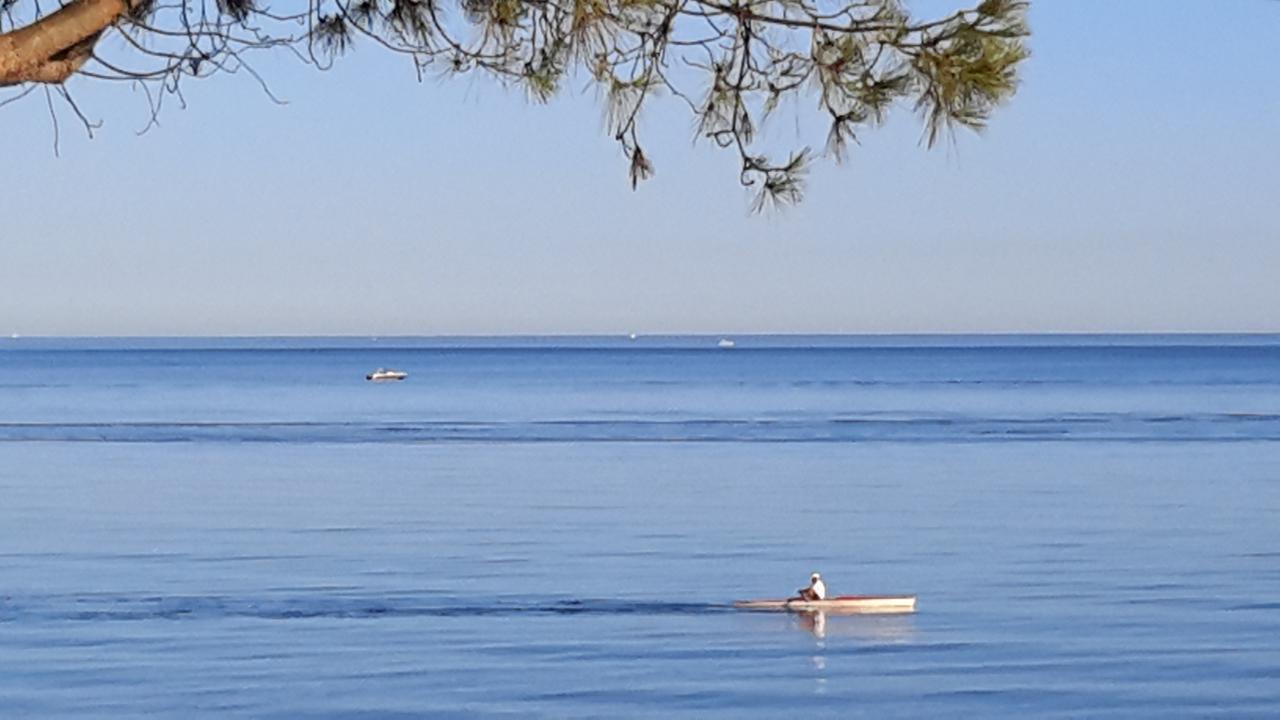 Appart Bleu Azur Saint-Florent  Ngoại thất bức ảnh